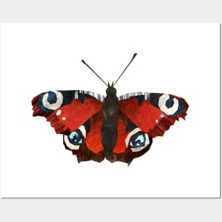 Peacock butterfly Posters and Art